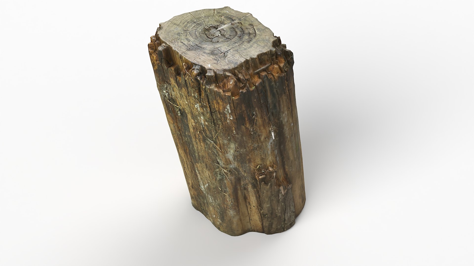 3D Tree Stump Seat 30 TurboSquid 2132876   Treestump30 09 