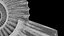 Ammonoid shell model simple rectiradiate and strong ribs