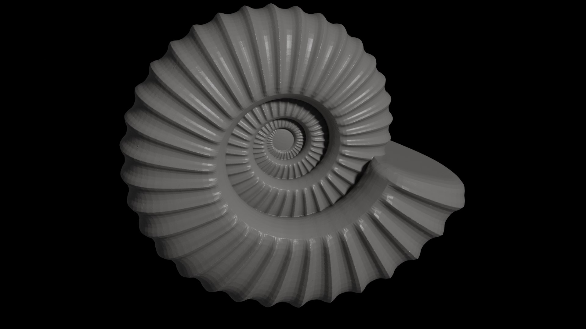 3D Model Sube Volute Ribbed Ammonoid Shell - TurboSquid 2288988