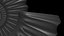 Ammonoid shell model simple rectiradiate and strong ribs