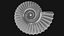 Ammonoid shell model simple rectiradiate and strong ribs