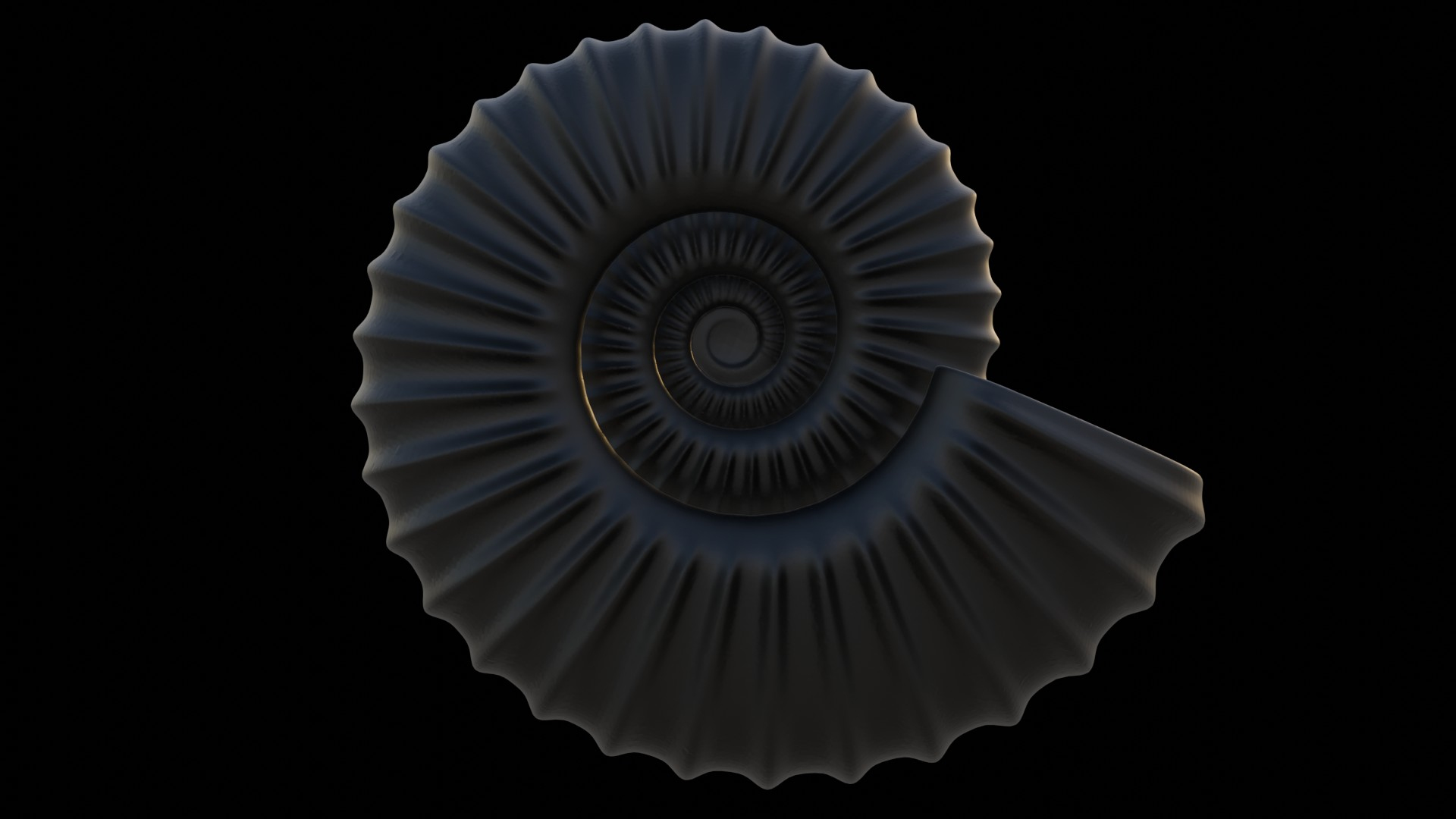 3D model Sube volute Ribbed Ammonoid shell https://p.turbosquid.com/ts-thumb/al/sIDxt2/jA/model_rib/jpg/1735923294/1920x1080/turn_fit_q99/d393f88fdc2578b2b6a3852d496098ed310d8007/model_rib-1.jpg