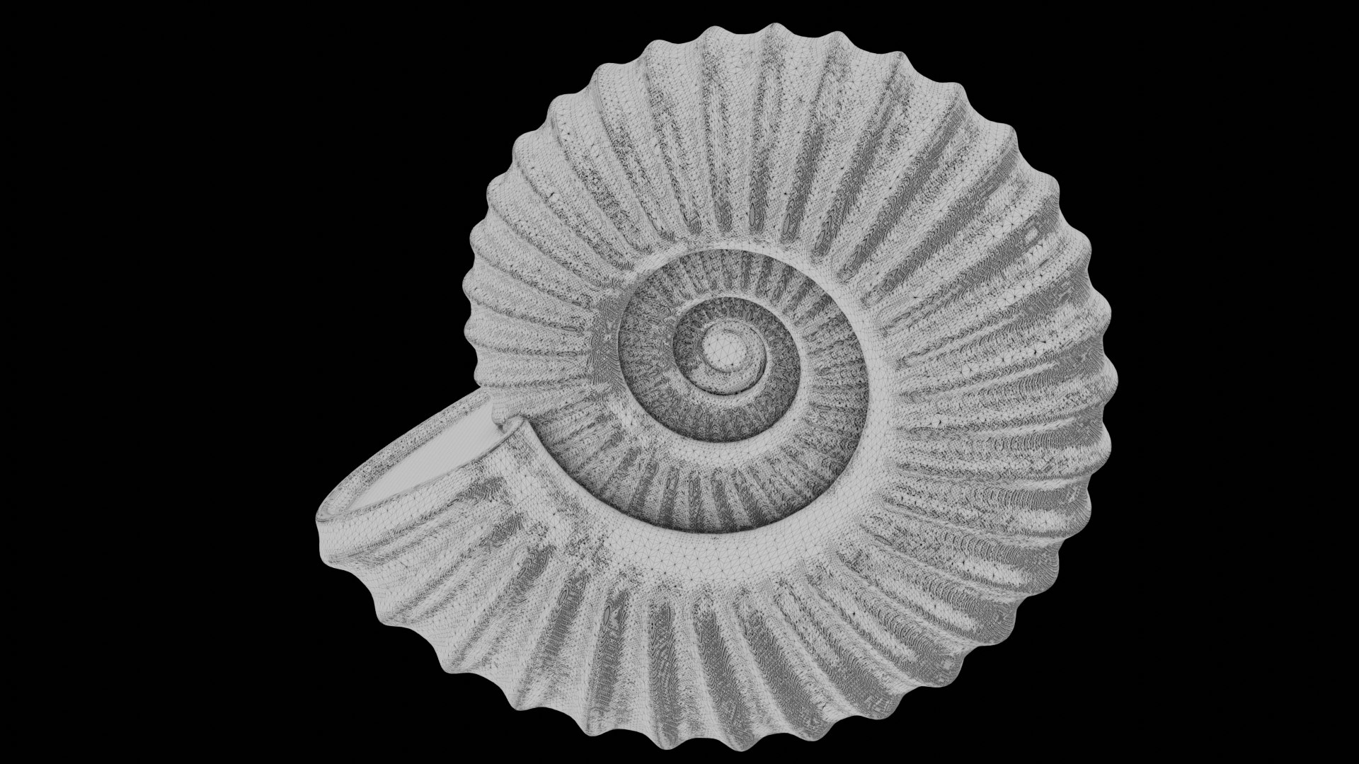 3D model Sube volute Ribbed Ammonoid shell https://p.turbosquid.com/ts-thumb/al/sIDxt2/k0/wire3/png/1735922333/1920x1080/fit_q87/8b091f59004bb2a6f5e1009cd812b1ec8dba4a1b/wire3.jpg