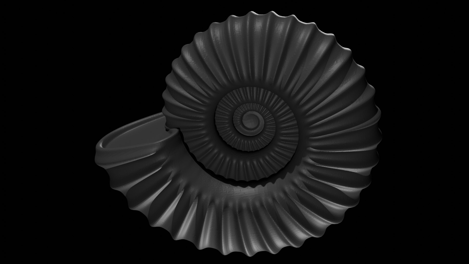 3D model Sube volute Ribbed Ammonoid shell https://p.turbosquid.com/ts-thumb/al/sIDxt2/nC/0005/png/1735922325/1920x1080/fit_q87/d20617bb86f7bc1cf644c1e41434a4480bf5980a/0005.jpg