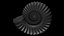 Ammonoid shell model simple rectiradiate and strong ribs