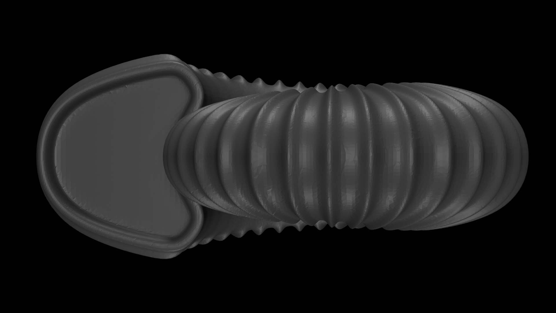 3D model Sube volute Ribbed Ammonoid shell https://p.turbosquid.com/ts-thumb/al/sIDxt2/tc/0002/png/1735922323/1920x1080/fit_q87/0c5c391e809e3fab2770224a4ce61ca40d6cb449/0002.jpg