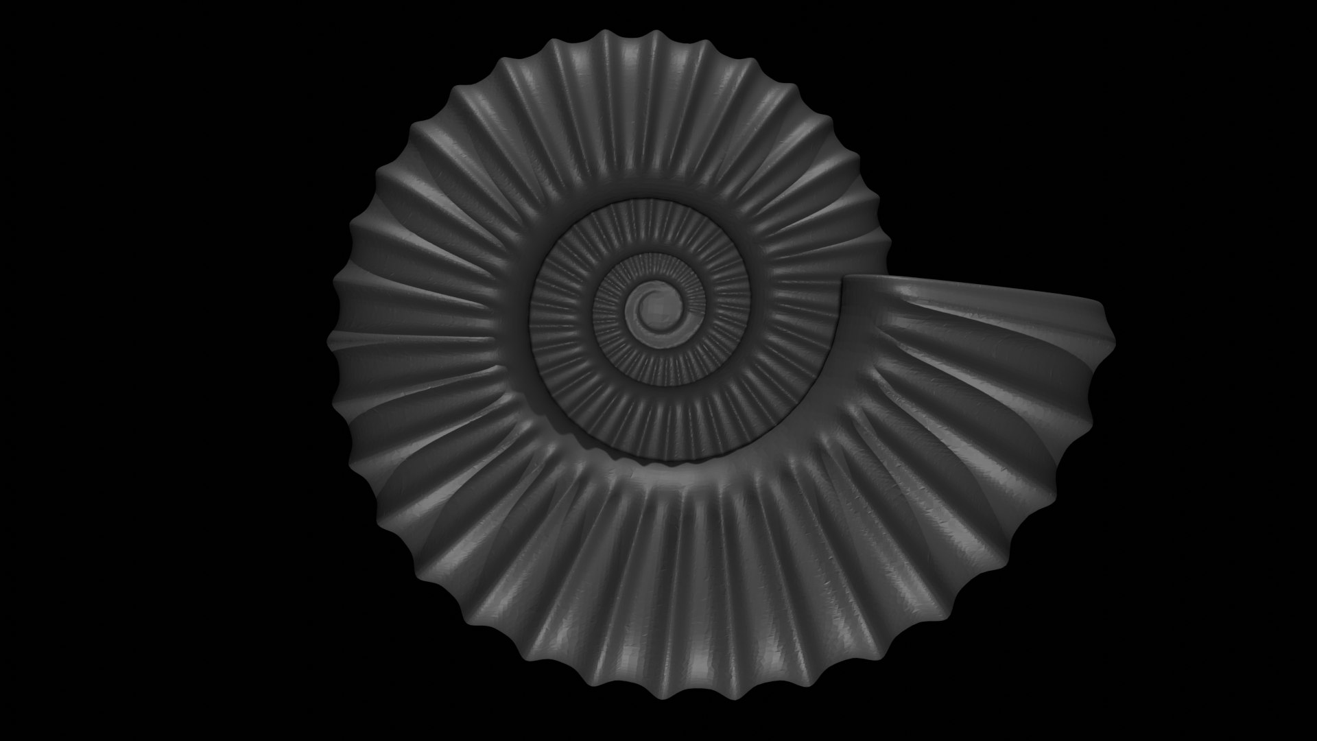 3D model Sube volute Ribbed Ammonoid shell https://p.turbosquid.com/ts-thumb/al/sIDxt2/zz/0001/png/1735922323/1920x1080/fit_q87/e1752147b3471a45897e8d14a18738cb10d61027/0001.jpg