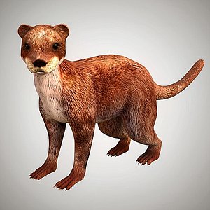 Otter RIgged Low Poly