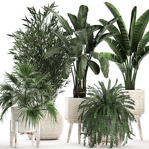 plants interior rattan houseplants model