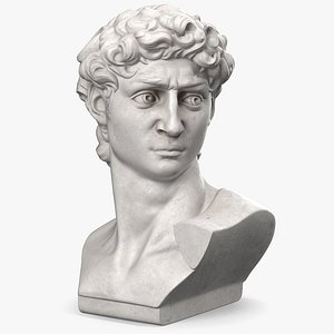 Bust of David by Michelangelo 3D Model