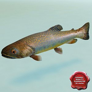 trout modelled 3d model