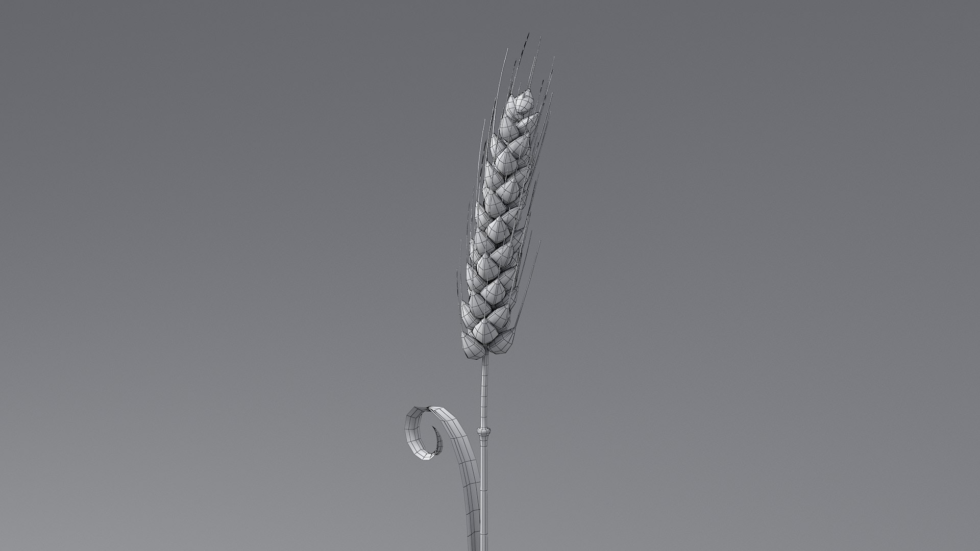 Cartoon Wheat Spikelet 04 3D model https://p.turbosquid.com/ts-thumb/am/OHt4Yr/DU/wheat_0046/jpg/1680443447/1920x1080/fit_q87/9d5a846b452e38cd826a051315d291aee0ea689f/wheat_0046.jpg