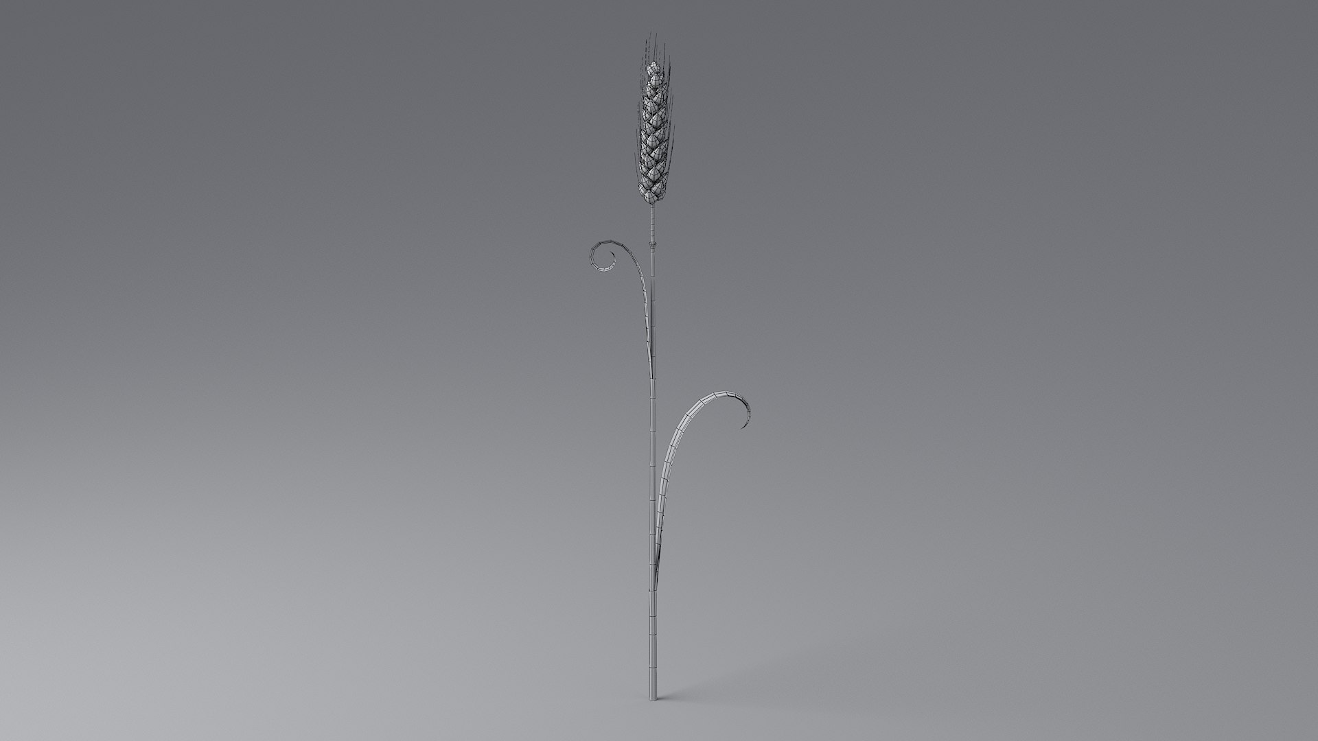 Cartoon Wheat Spikelet 04 3D model https://p.turbosquid.com/ts-thumb/am/OHt4Yr/JT/wheat_0043/jpg/1680443446/1920x1080/fit_q87/1add3ac1b82bac5648f19cf9ea203324042663a5/wheat_0043.jpg
