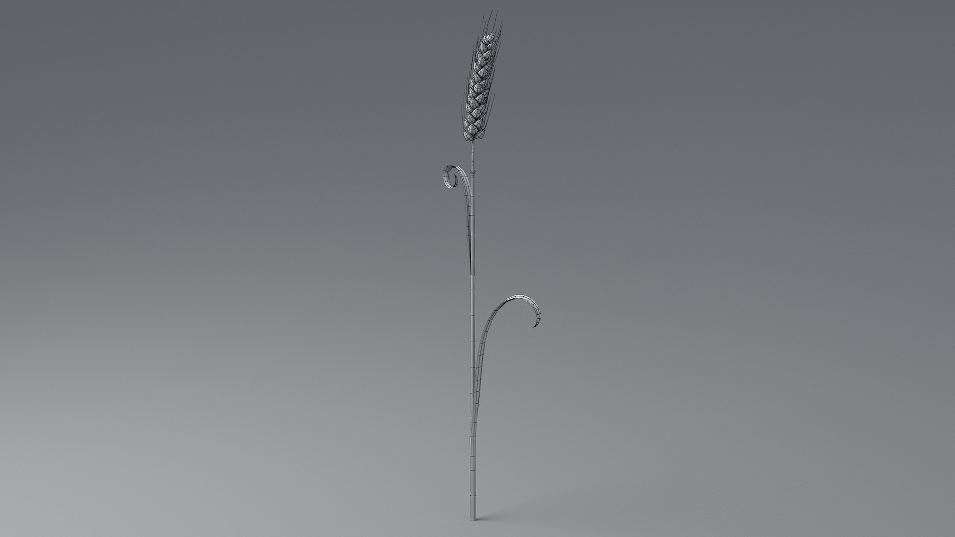 Cartoon Wheat Spikelet 04 3D model https://p.turbosquid.com/ts-thumb/am/OHt4Yr/kv/wheat_0042/jpg/1680443445/1920x1080/fit_q87/ebc71cce2abd2c06cda8a771c742f5febcba216a/wheat_0042.jpg