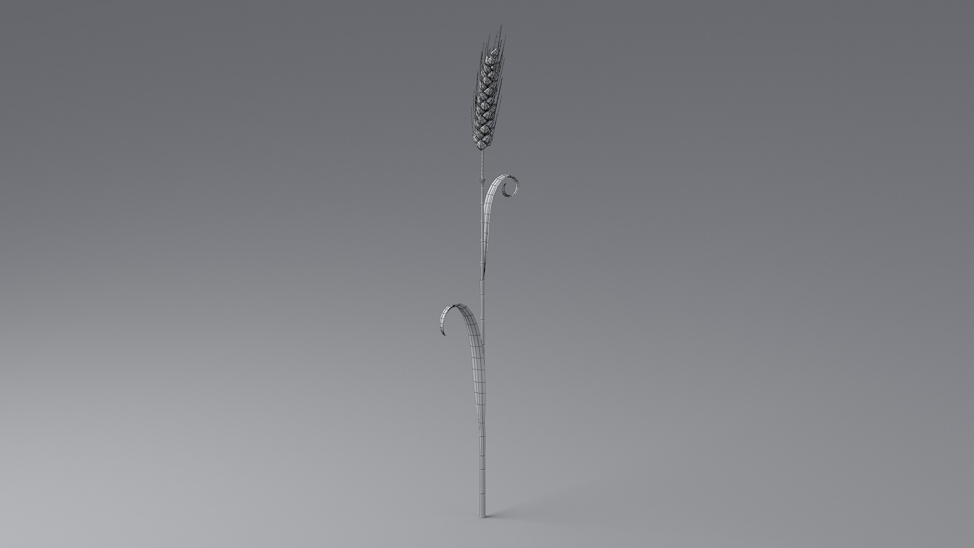 Cartoon Wheat Spikelet 04 3D model https://p.turbosquid.com/ts-thumb/am/OHt4Yr/qJ/wheat_0045/jpg/1680443447/1920x1080/fit_q87/ec824ac7a17a05b1f6aab97e8a1626562d0233e4/wheat_0045.jpg