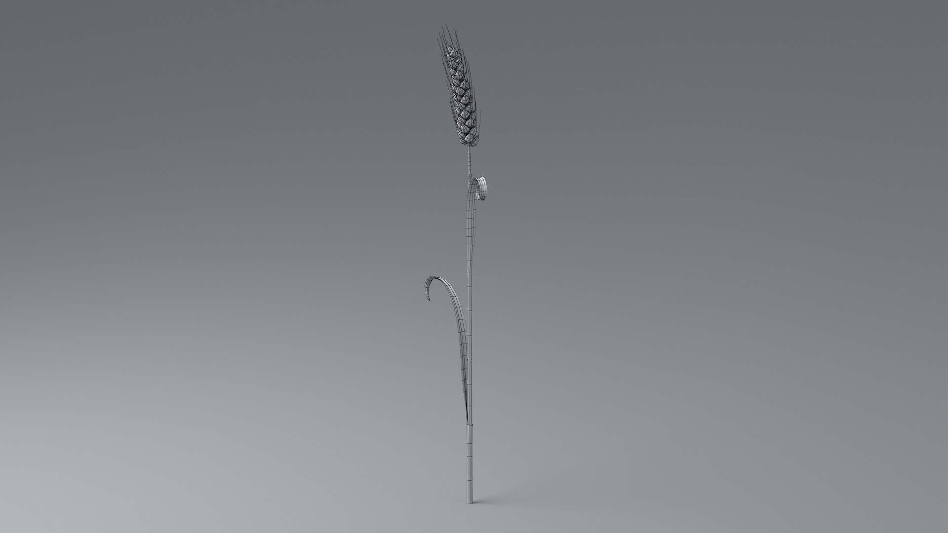 Cartoon Wheat Spikelet 04 3D model https://p.turbosquid.com/ts-thumb/am/OHt4Yr/ur/wheat_0044/jpg/1680443446/1920x1080/fit_q87/9a5d085ac679258d5fef90f972e2f0b8cb900730/wheat_0044.jpg
