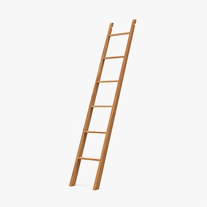 Wooden Library Ladder