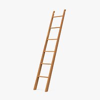 Wooden Library Ladder