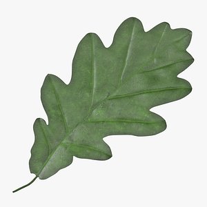 oak leaf green 01 max