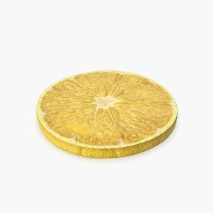 Lemon Slice(1) 3D model
