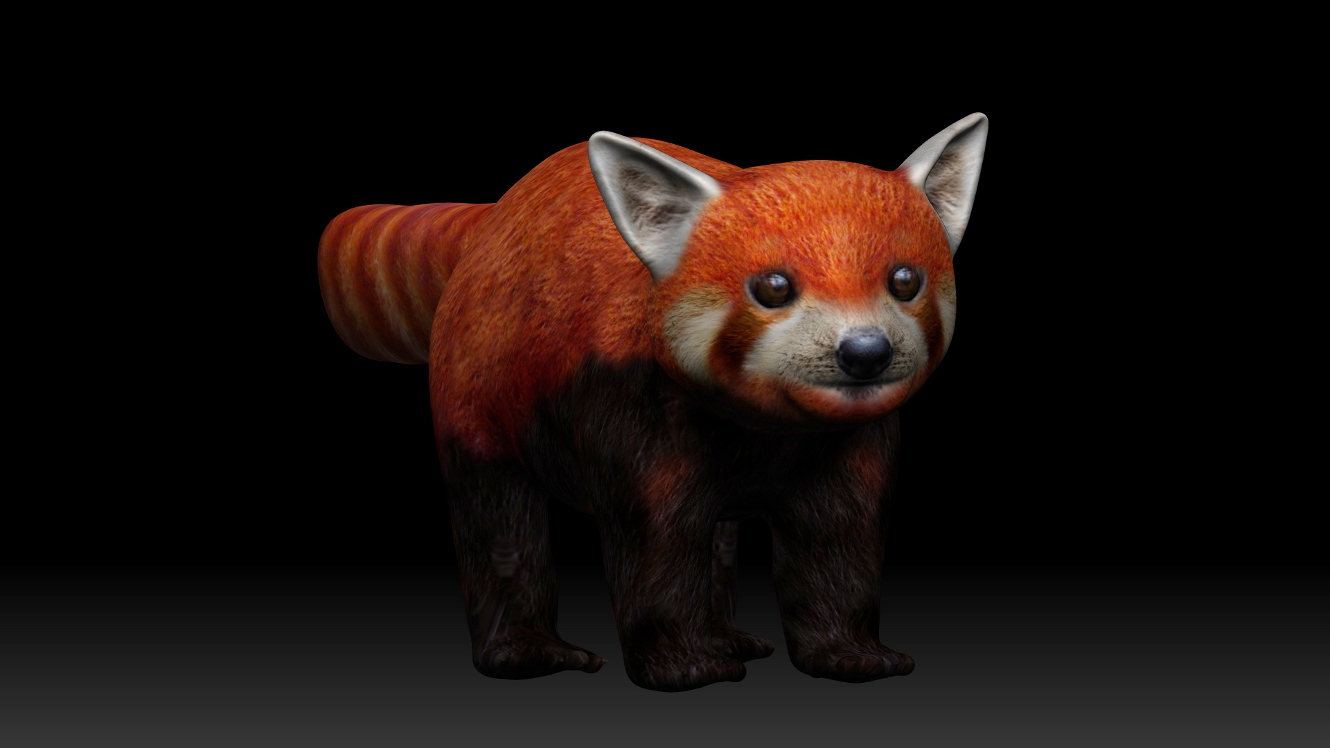 3D Red Panda - TurboSquid 1736762