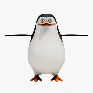 3D Private - Madagascar