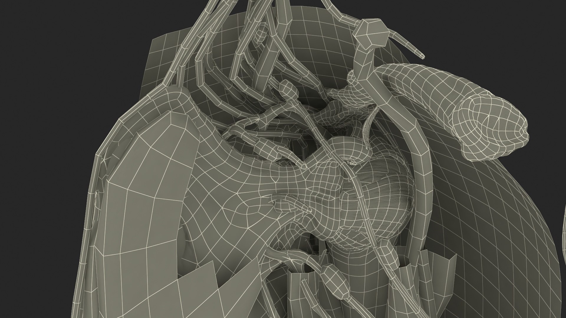 3D model Man Arm Anatomy Realistic https://p.turbosquid.com/ts-thumb/an/7FXsKm/Qs/manarmanatomyrealisticmb3dmodel035/jpg/1727649015/1920x1080/fit_q87/5df5405387a6d870546c97f96f276f768244f444/manarmanatomyrealisticmb3dmodel035.jpg