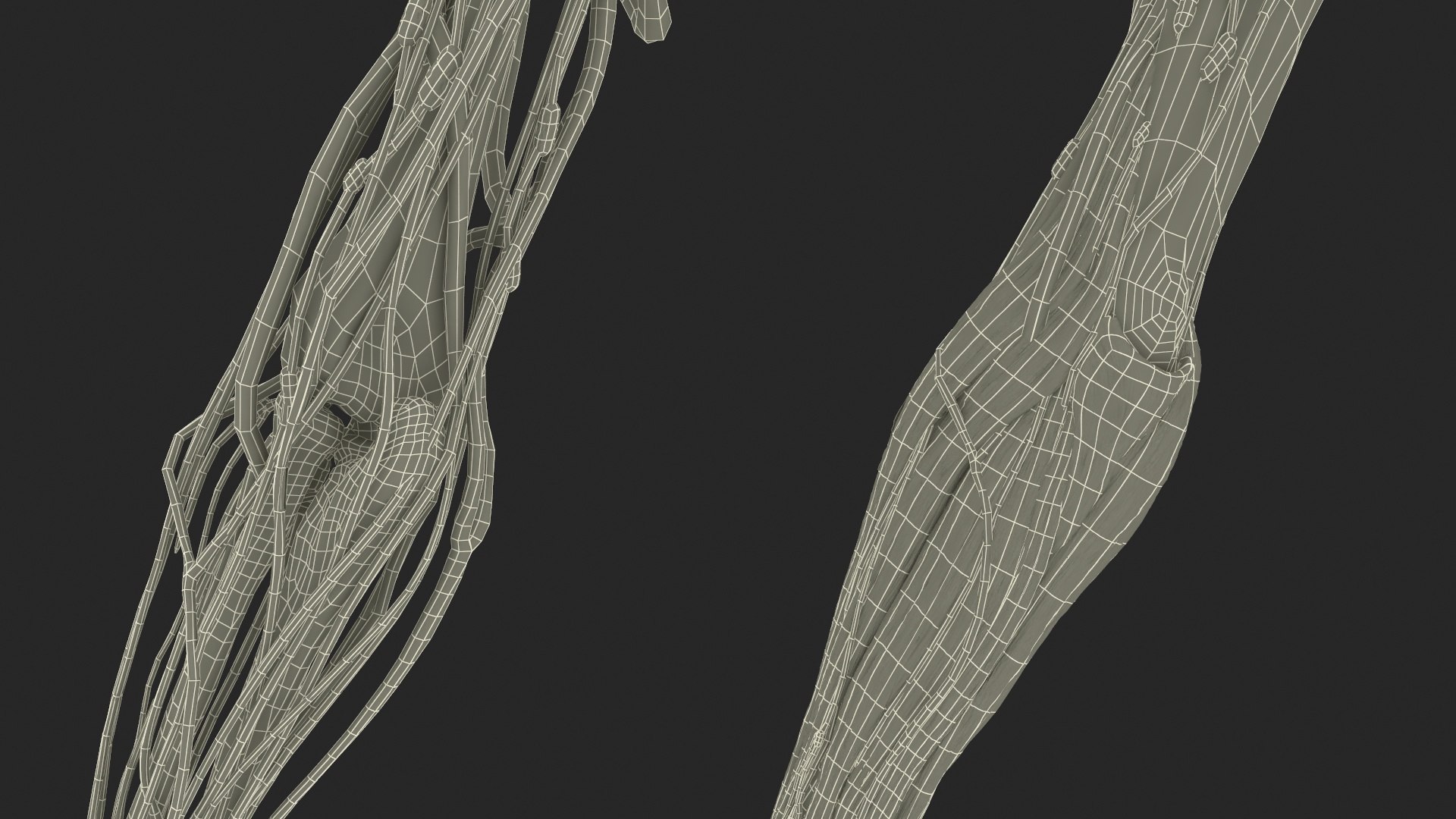 3D model Man Arm Anatomy Realistic https://p.turbosquid.com/ts-thumb/an/7FXsKm/vI/manarmanatomyrealisticmb3dmodel033/jpg/1727649007/1920x1080/fit_q87/937347e130d2cda60772b96b67f4e0ba81093d08/manarmanatomyrealisticmb3dmodel033.jpg