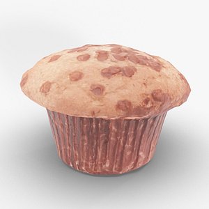 Chocolate Chip Muffin
