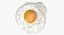 Fried Egg