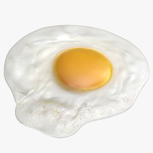 fried egg 3D model