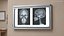 X Ray Lightbox with Skull Radiographs