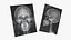 X Ray Lightbox with Skull Radiographs