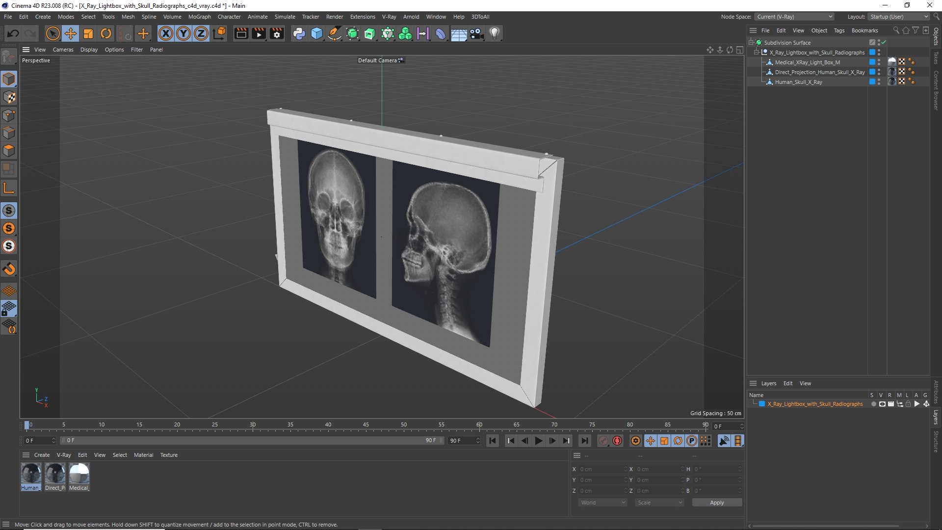 3D X Ray Lightbox with Skull Radiographs model https://p.turbosquid.com/ts-thumb/an/GCQoEV/lj/x_ray_lightbox_with_skull_radiographs_1003/jpg/1786491283/1920x1080/fit_q87/ce844ee2ab2eb2413bffeed3b78003f48e7ba160/x_ray_lightbox_with_skull_radiographs_1003.jpg