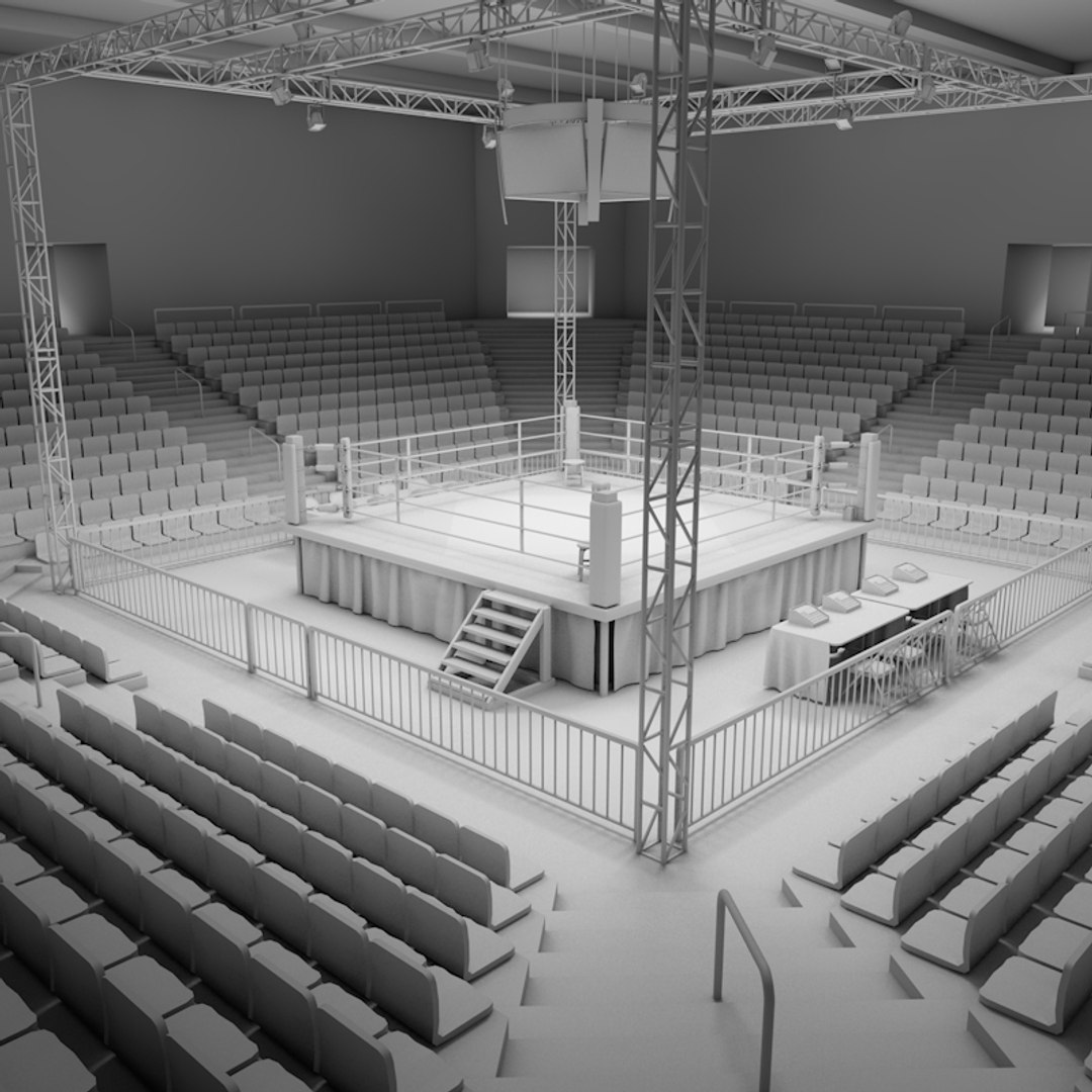 3d Model Boxing Stadium