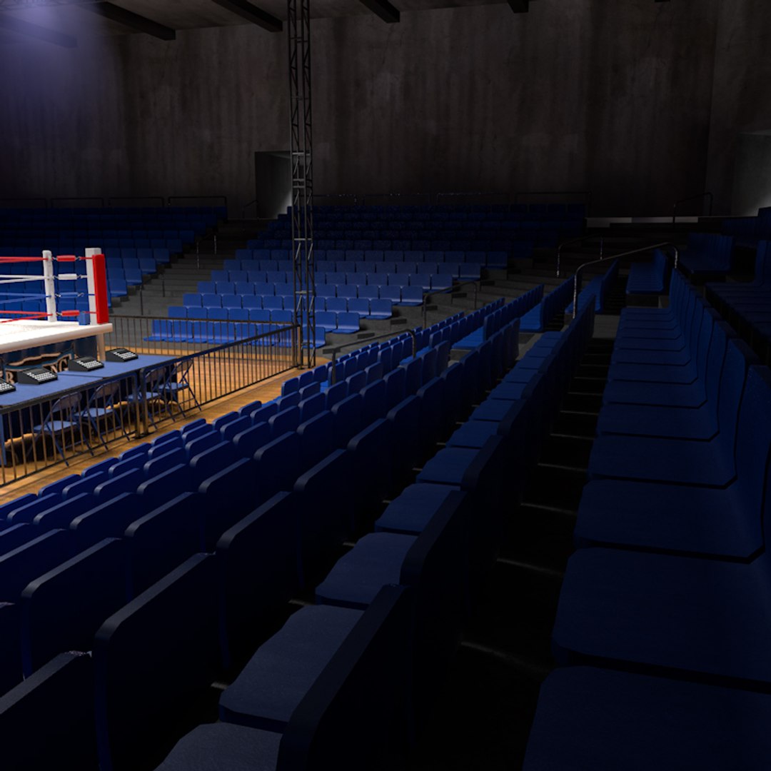 3d Model Boxing Stadium