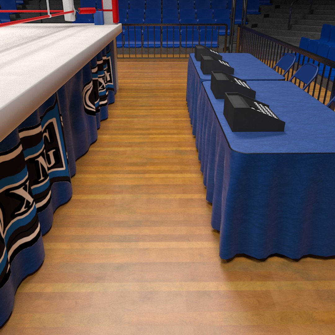 3d Model Boxing Stadium