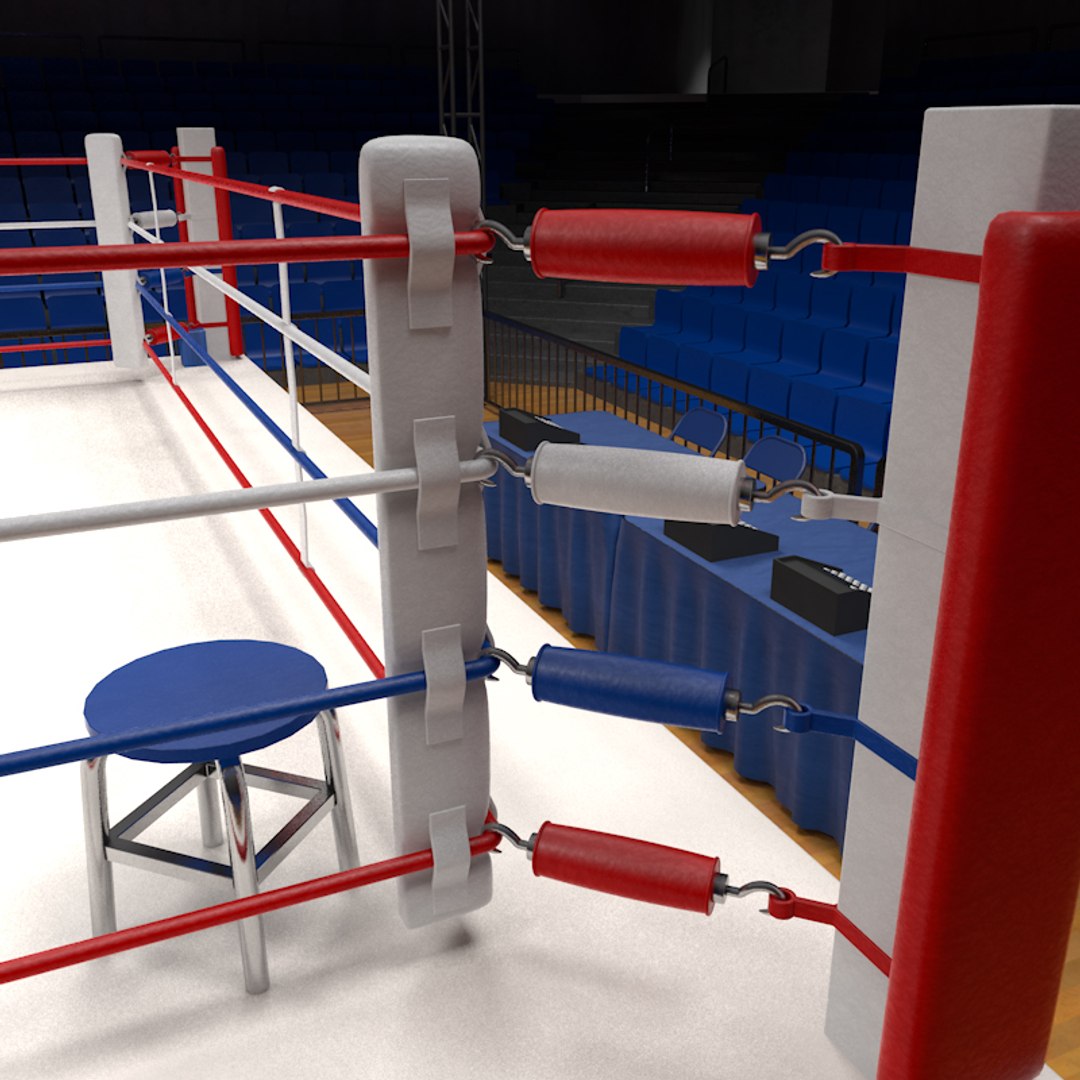 3d Model Boxing Stadium