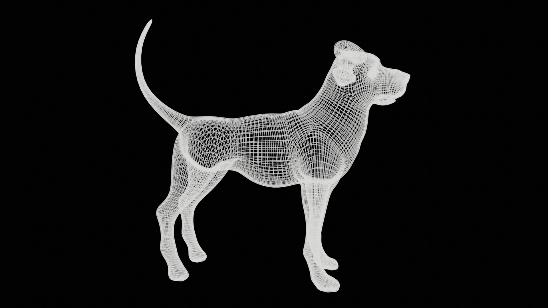3D Dog Rig High-poly Textured Model - TurboSquid 2345352