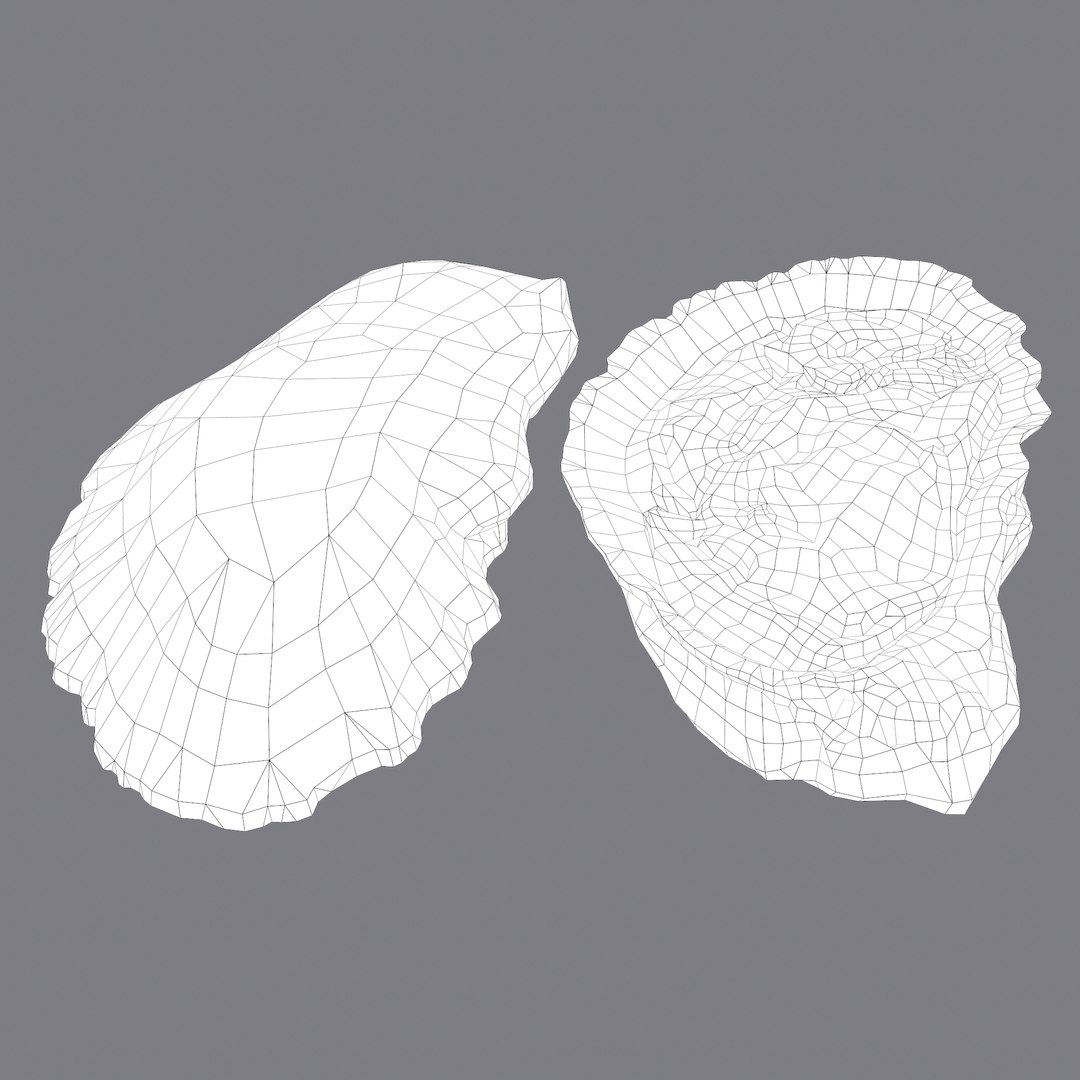 oyster model https://p.turbosquid.com/ts-thumb/an/U2XvUu/1FMNSeo2/o/png/1600541882/1920x1080/fit_q87/540eb33ed3cec23153aaeddedad4e77e953a78b8/o.jpg