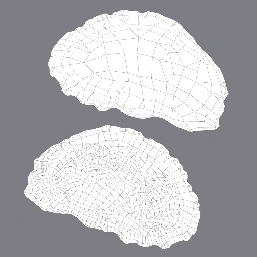 oyster model https://p.turbosquid.com/ts-thumb/an/U2XvUu/3fbB6BUG/k/png/1600541882/1920x1080/fit_q87/5f59ead7085aa78cd40d406d0b97187fd484d675/k.jpg