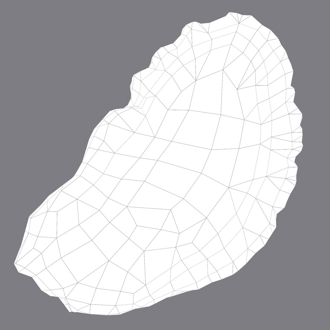 oyster model https://p.turbosquid.com/ts-thumb/an/U2XvUu/JiysJmi7/e/png/1600541882/1920x1080/fit_q87/caa8d49ae62c8ef57cacae5a6cbfba44d47d3f2c/e.jpg