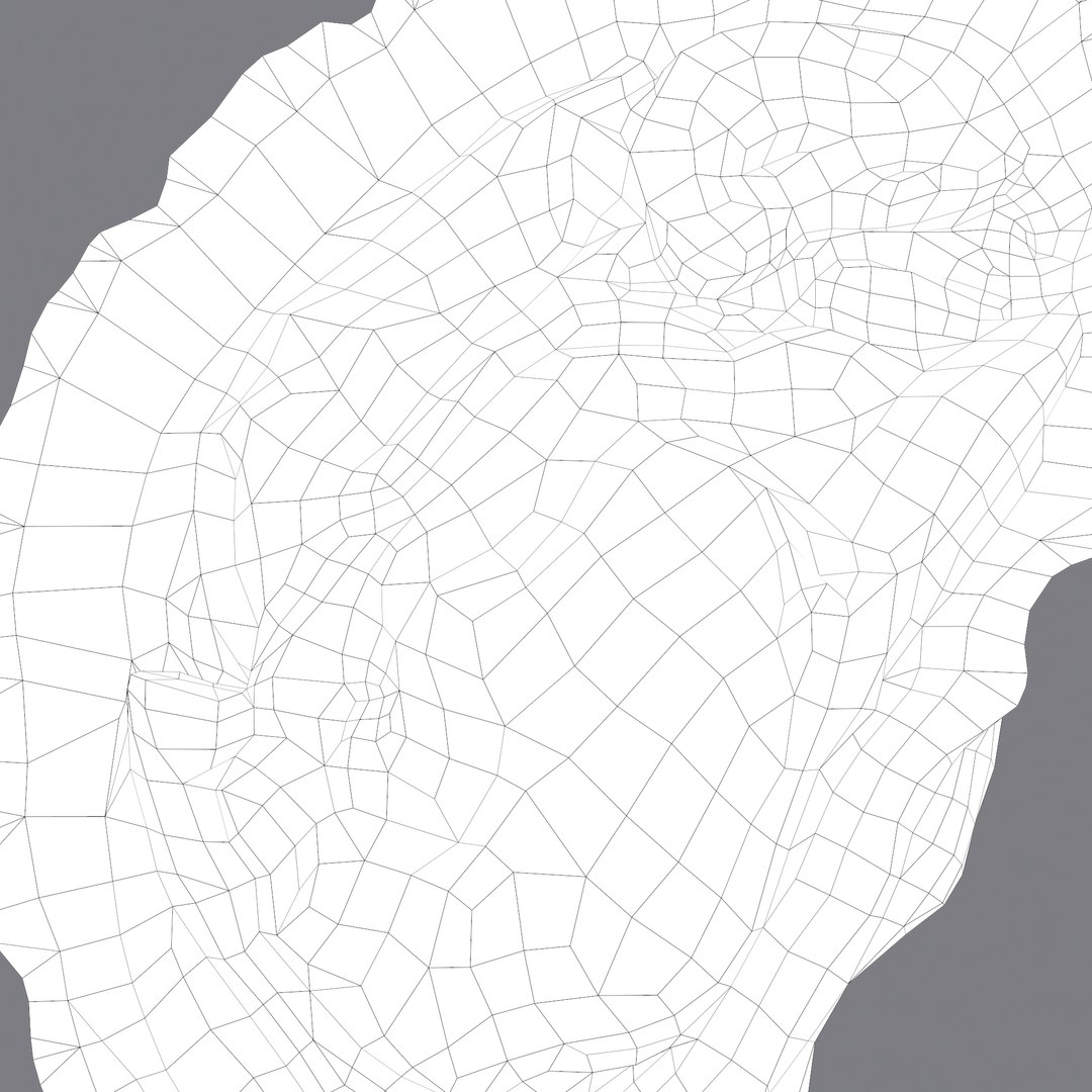 oyster model https://p.turbosquid.com/ts-thumb/an/U2XvUu/OrWhiQCY/h/png/1600541882/1920x1080/fit_q87/177754af9bc111cc65d578106b8004bc5b5a32dc/h.jpg