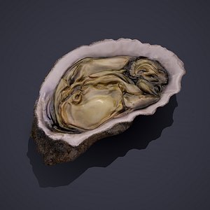 oyster model