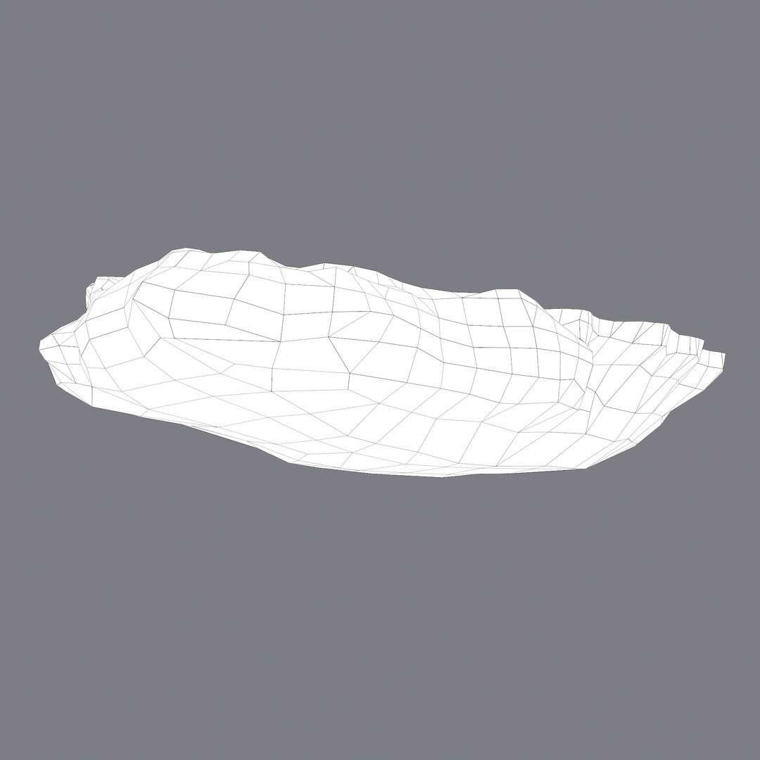 oyster model https://p.turbosquid.com/ts-thumb/an/U2XvUu/WIKptNku/f/png/1600541882/1920x1080/fit_q87/542e2a7d9f681be7e9acc1a9fc9cd8af3ea06033/f.jpg
