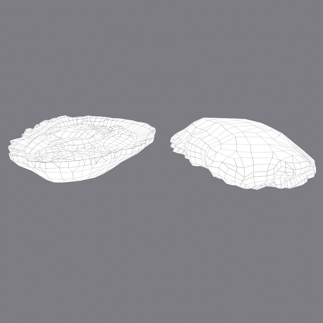 oyster model https://p.turbosquid.com/ts-thumb/an/U2XvUu/Z41Nv54a/l/png/1600541882/1920x1080/fit_q87/ab15d0cbc95bfa233178df71dfaff2e275088005/l.jpg