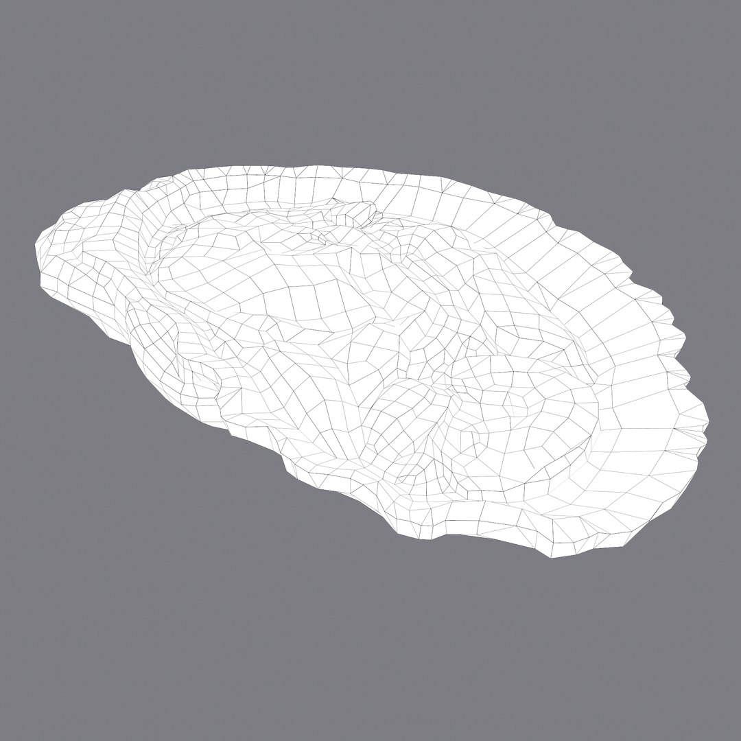 oyster model https://p.turbosquid.com/ts-thumb/an/U2XvUu/r40z1HyH/b/png/1600541881/1920x1080/fit_q87/2528f757292b358e2b2b00f8ffb97528471346e4/b.jpg