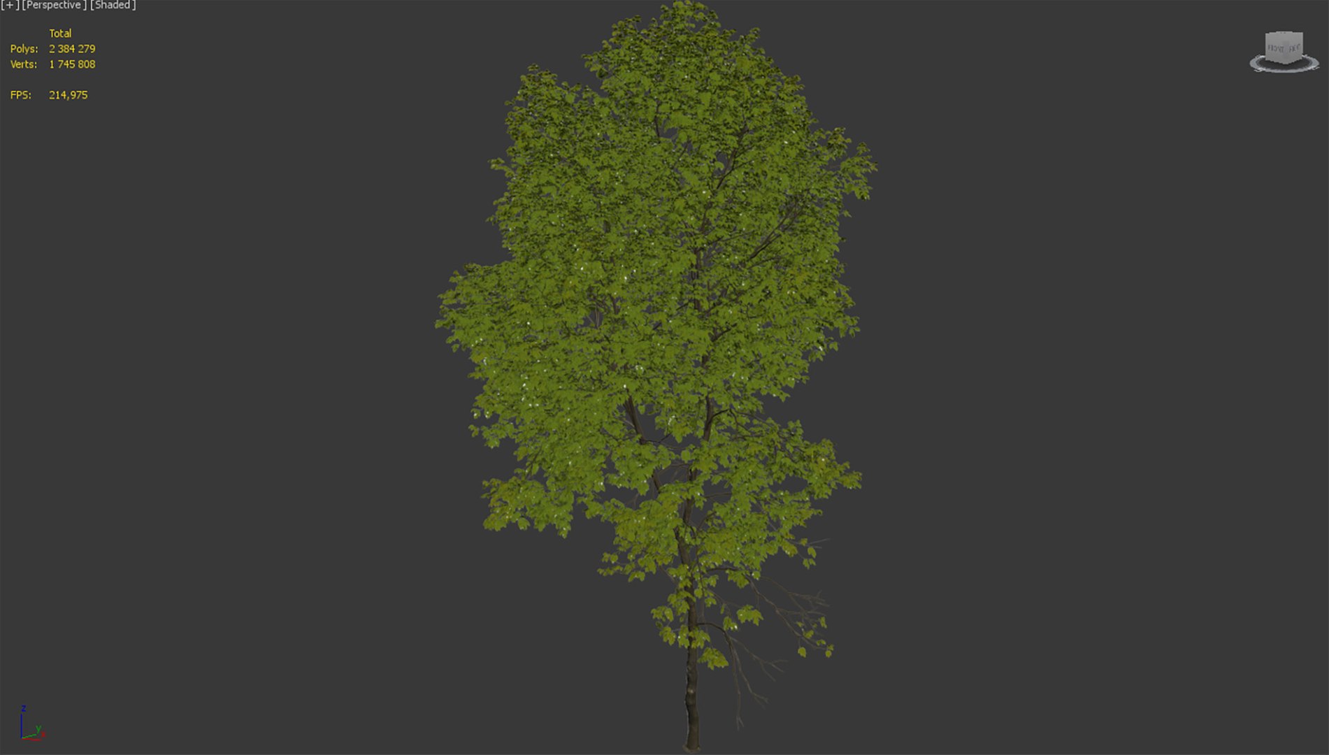 Tree Ash-tree Model - TurboSquid 1688597