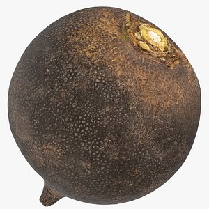 3D turnip black 06