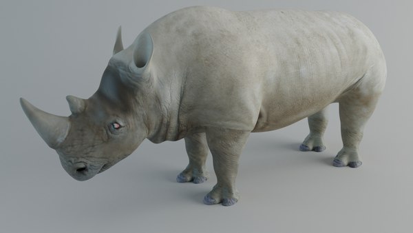 rino_001.jpg